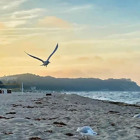 Σπίτι διακοπών Martini -